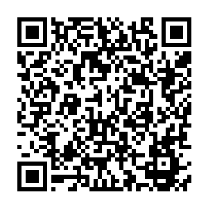 郑重才嘿嘿嘿笑着跑去看那几个以前都是跟伍曦一样平京板儿爷打扮的同伴二维码生成