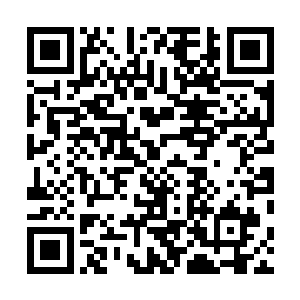 郜心蓝实在担心木萦是不是已经看出了自己当时的小举动二维码生成