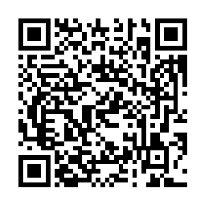 郜晋跟着李思辰一伙人在酒店旁边的小饭馆里面吃午餐二维码生成
