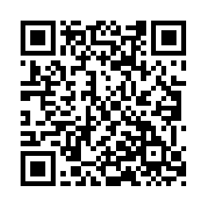 郝媚娆和青婷两人的肚子也终于是争气了一回二维码生成