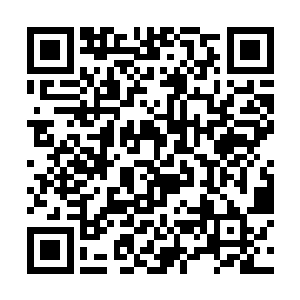 郡主肯为我隐瞒秘密出京的事所求不外乎陆天养身死二维码生成