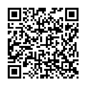 郡内并没有呈现出衣冠华族比肩林立的丰茂景象二维码生成
