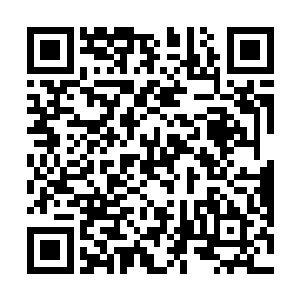 部署在东北和东南沿海的三十个甲种师和五个机械化军二维码生成