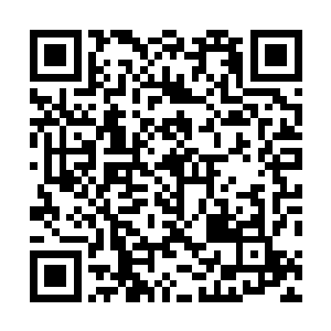 部落之前抓到的那只巨大的恐头兽与如今这只骨石兽相比二维码生成