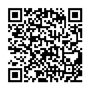 部落公认的天才矛手臂上的图腾纹也只是延伸了半截手指而已二维码生成
