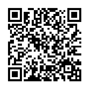 部落的先祖们将这些鸟从野生态驯养成适合饲养的鸟二维码生成