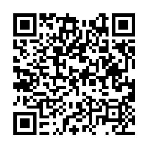 部落里现在所有人都知道土里也有可能会埋着吃的二维码生成