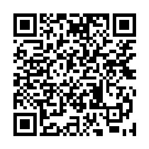 部落里的那些存货不知道够这个家伙几口的・・・・・・二维码生成