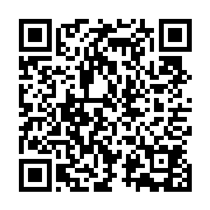 部队所在驻地出现了莫凡这样的人物不得不令他们关注起来二维码生成