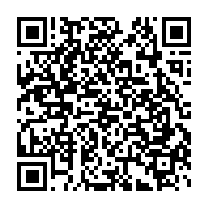 郭仕德甚至还把各地市的统战部长基本情况以书面形式给了陆为民一个二维码生成