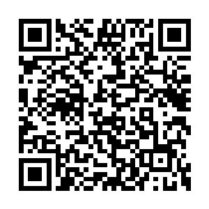 郭村里正家后院有一个不起眼却也不算难寻秘窖二维码生成