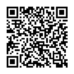 郭正茂和白正阳都是那种非常理智非常清醒的人二维码生成