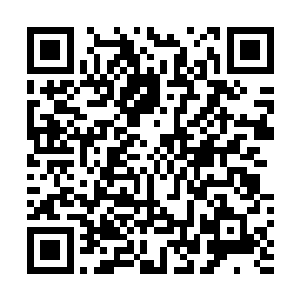 郭生几人仿佛见到了一把狭长的薄刀从裂缝之中横斩出来二维码生成