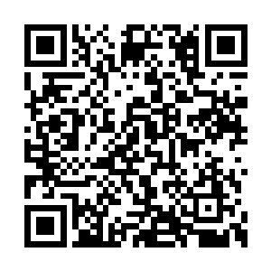 郭阳和王胖子只能守着钞票箱子站着或坐旁边了二维码生成