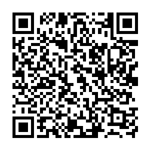 郭雨竹有些狐疑的看了杨洛一眼这个家伙什么时候变得这么好脾气了二维码生成