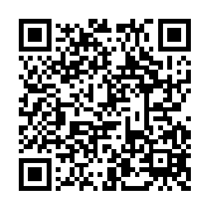 都一一死在撼天门以及一些元婴修士的围捕之下二维码生成