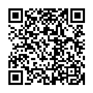 都一定不能忘记仙桃村那些叔叔伯伯婶子对咱们雷家的恩情啊二维码生成