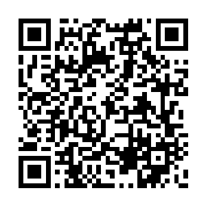 都不从这盘磁的前五万盘销售额里带里拿一分钱二维码生成