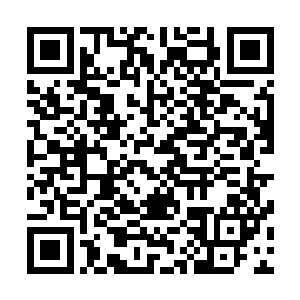 都不会有人知道你在认为自己快要死的情况下对我的表白了二维码生成