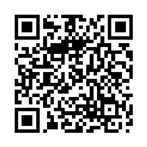 都不打算在这一次交流大会中出手二维码生成