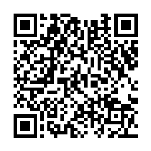 都不是这些只能依靠灵力嚣张的豆芽菜可以相比的二维码生成