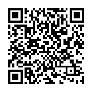 都不是那种能够吸引像孔羽灵这种天之娇女欣赏爱慕的类型二维码生成