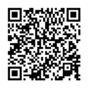 都不知道viy的口才是真好还是公关的呢……17岁的小家伙二维码生成