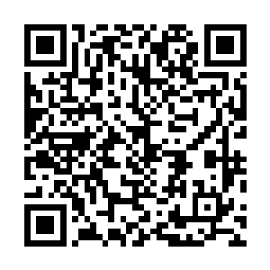 都不约而同地将法雷尔家族列入了最不可招惹的名单首位二维码生成