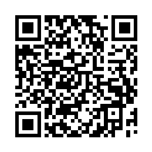 都不肯把自己的小算盘拿出来凉一凉二维码生成