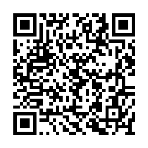 都不认识啊・・・・・・不管大家的反应怎么样二维码生成