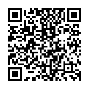 都从来没有哪个女优发出的声音能象伊莎贝拉这样的魅惑勾人二维码生成