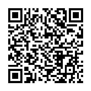 都以为林铭是千年难得一见的枪道天才和灵魂力天才二维码生成