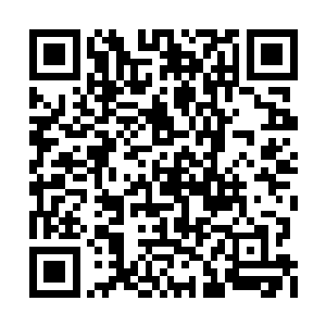 都以为沙罗曼蛇要为自己的自大付出代价的时候二维码生成