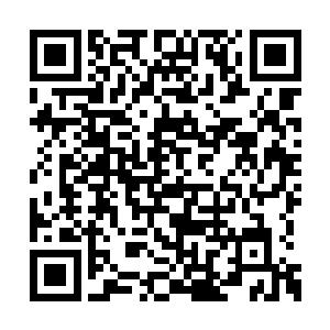 都以前特级大师给他讲过的变化范围之内的步数二维码生成