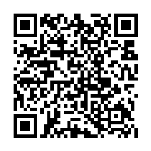 都会化成一丝微不足道的鸿蒙之气雏形累积起来二维码生成