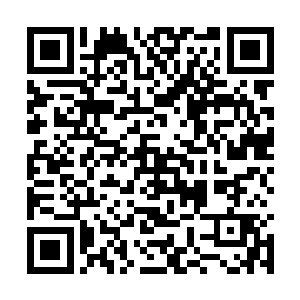 都会因为考虑到半步大罗金仙的态度而有别的决定吧~二维码生成