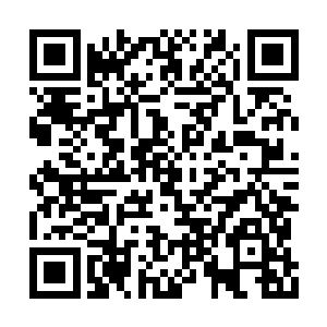 都会在自己的家族驻地布置巨大的防御巫术法阵二维码生成