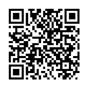 都会把最好的石料玉石带到赌石拍卖会上二维码生成