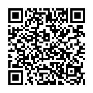 都会拿着天南与幕兰双方准备好的大量珍贵宝物二维码生成