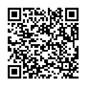 都会有一点神性残留――毕竟他是灭世双蛇的次子二维码生成