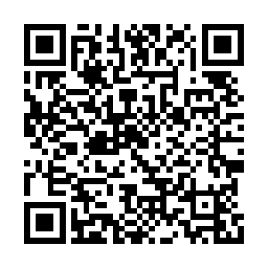 都会给隐藏的小白和希望机会收割着他们的性命二维码生成