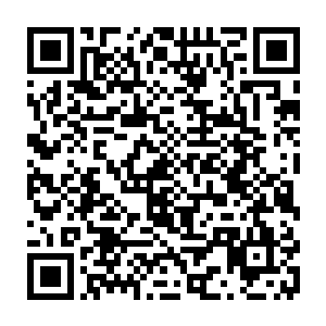 都会被吞党引申到对太夏所追求的天道的质疑和对轩辕之丘东宫太子的否定上二维码生成