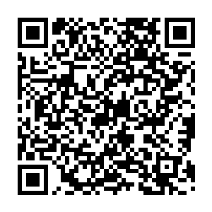 都会被本身的自愈能力和木之相本源的生机之力以及五行洗灵露迅速的治愈二维码生成