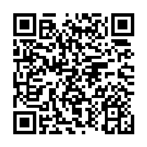 都会那漫天飞舞并且不断变换着方位的树叶给弄的眼花缭乱二维码生成