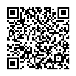 都会飞出两个与苏天骄朱雀形状一模一样的朱雀幻影二维码生成