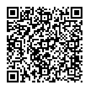 都依然在心中保留着一个大大的疑问……更别说是对面的那个实力恐怖的刀疤脸了二维码生成