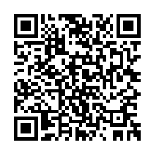 都写在了老妈脸上这几日憔悴了许多的面容之中二维码生成