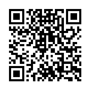 都写满了对这个世界充满激情的光彩二维码生成