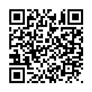 都几乎完全看不到半点装饰性的花纹二维码生成