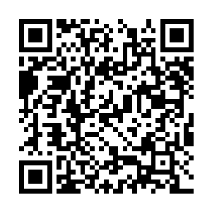 都别想和万千狂性大发的杂姓以及旁支修仙者抗衡二维码生成